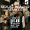 Sexual Healing (Werkha Remix) artwork