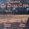 Llaneros de Pura Cepa