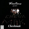 Wantons Feat. AFX - Cheshmak
