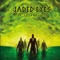 The Adverts - Jaded Eyes lyrics