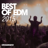 Best of EDM 2015 artwork