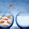 Beckett's Back Forty Acres - Diamond Rio lyrics