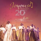 Joyous Celebration, Vol. 20 artwork