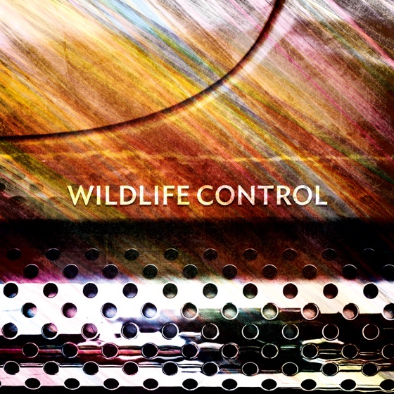 Cover artwork for Disguise