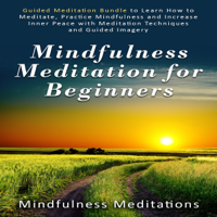 Mindfulness Meditations - Mindfulness Meditation for Beginners: Guided Meditation Bundle to Learn How to Meditate, Practice Mindfulness and Increase Inner Peace with Meditation Techniques and Guided Imagery artwork