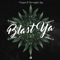 Blast Ya (feat. Barrington Levy) - Borgore lyrics