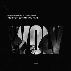 Terror - Single by Crossnaders & Tom Ferro album reviews, ratings, credits
