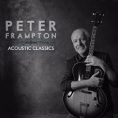 Peter Frampton - I'm in You