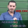 Ne Karaymış Yüzün Senin - Single