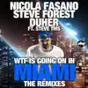 Stream & download Wtf Is Going On In Miami (the Remixes) - Single