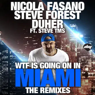 Wtf Is Going On In Miami (Die Hoerer Mix) (feat. Steve Forest, Duher, Steve Tms) by Nicola Fasano song reviws