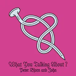 What You Talking About? - Single - Peter Bjorn and John