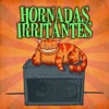 Hornadas Irritantes, 2013