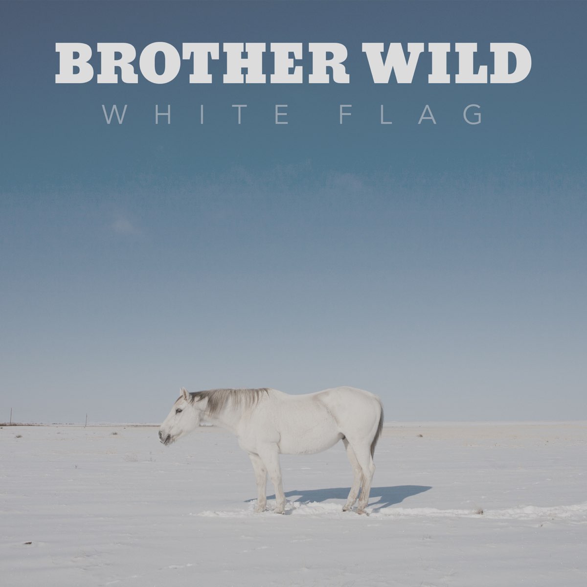 White wild. Братья вилд. Wildest альбом. Wild Flax. Album Art mp3-2 White Flag.