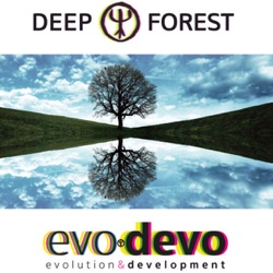 Deep Forest - Sing with the Birds
