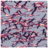 Gore cover