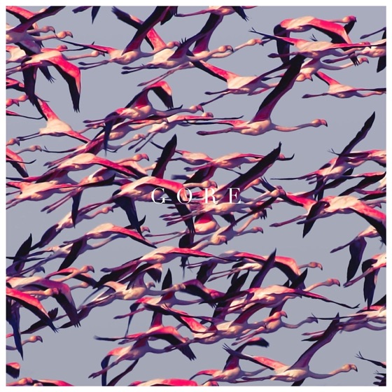 Cover artwork for Rubicon