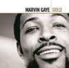 Gold: Marvin Gaye artwork