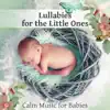 Lullabies for the Little Ones: Calm Music for Babies, Soothing Sounds for Good Night Sleep, Relaxation and Peaceful Music for Newborns album lyrics, reviews, download