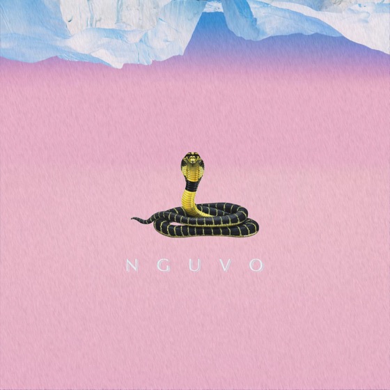 Cover artwork for Trapicana