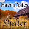 Shelter - Single artwork