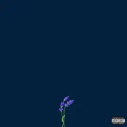 us - Gnash