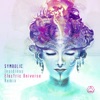 Insidious (Electric Universe Remix) - Single