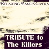Relaxing Piano Covers - Mr Brightside