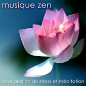 Musique zen pour gestion du stress et méditation - Sophie Am