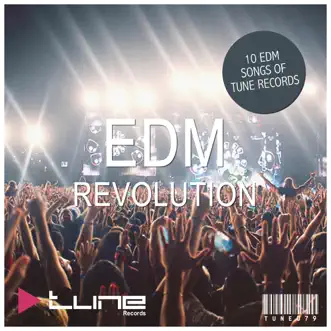 EDM Revolution by Various Artists album reviews, ratings, credits