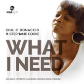 What I Need (Mark Di Meo Instrumental) [feat. Stephanie Cooke] artwork