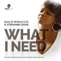 What I Need (feat. Stephanie Cooke) by Giulio Bonaccio album reviews, ratings, credits