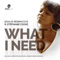 What I Need (Mark Di Meo Instrumental) [feat. Stephanie Cooke] artwork