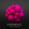 Time Stream (feat. Tasha Pi) - Experience lyrics