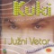 Verovah U Ljubav Njenu - Ivan Kukolj Kuki lyrics