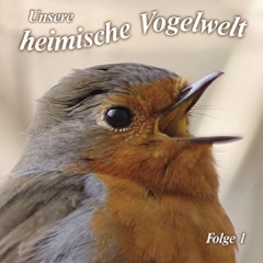 Gesänge und Rufe heimischer Vogelarten: Unsere heimische Vogelwelt 1