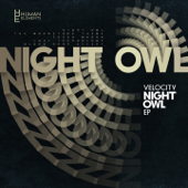 Night Owl - EP - Velocity