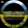 Stream & download Dandelion (Shane Robinson Remix)