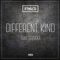 Different Kind (feat. Shakka) - Frisco lyrics