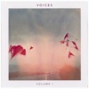 Voices, Vol. 1