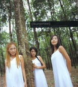 S.E.S. - Just in Love