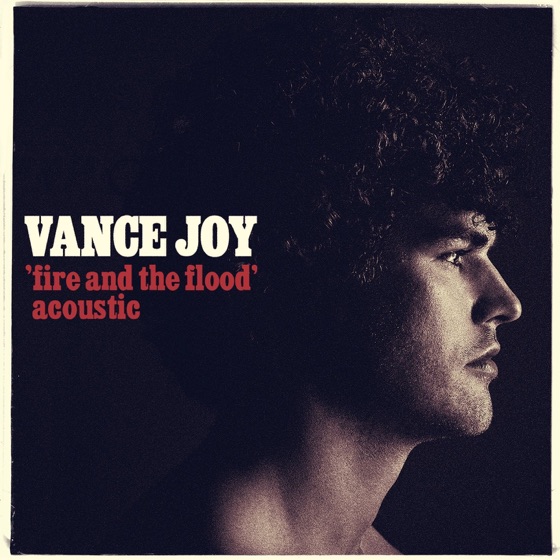 Cover artwork for Fire and the Flood (Acoustic)