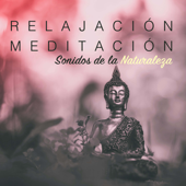 Relajación y Meditación: Sonidos de la Naturaleza & Dulces Sueños con Música Relajante para Sanar el Alma - Agua Del Mar & Relajacion Del Mar