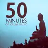 50 Minutes of Calm Music - Relaxing Tracks for a Quick Meditation Session album lyrics, reviews, download
