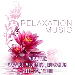 Relaxation Music: Music for Massage, Meditation, Relaxation, Sleep, Spa, Tai Chi and Soothing Lullabies to Help You Relax, Meditate and Heal with Nature Sounds, Hang Drum and Natural White Noise by Shakuhachi Sakano & Nature Sounds album reviews, ratings, credits