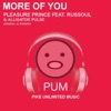 More of You (feat. Russoul & Alligator Pulse)