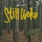 Still Woke (feat. Roze) artwork