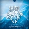 Skybeats 1 (Wedelhütte), 2015