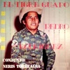 El Tigre Guapo (feat. Conjunto Neris Torrealba)