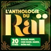L'anthologie du Raï (20 titres)